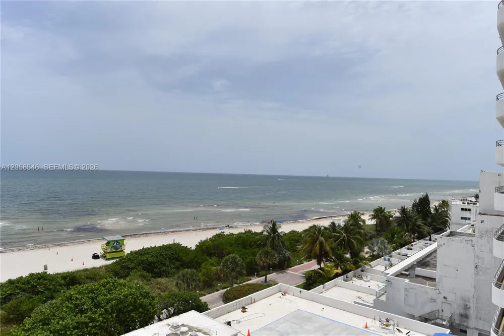 5555 Collins Ave #8K Miami Beach, FL 33140