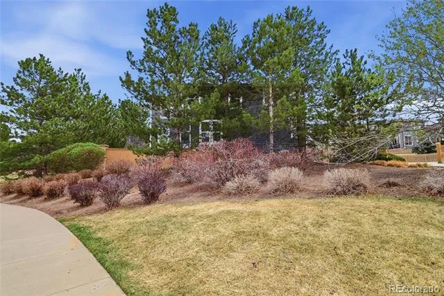 10559 Jewelberry Trail Littleton, CO 80130