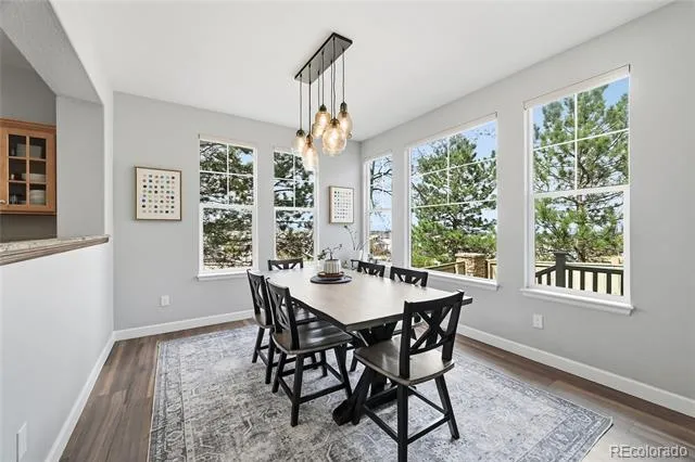 10559 Jewelberry Trail Littleton, CO 80130