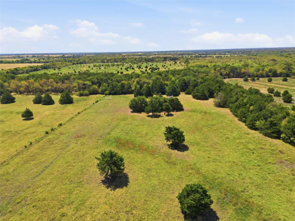 1333 Fm 1566 E Greenville, TX 75401