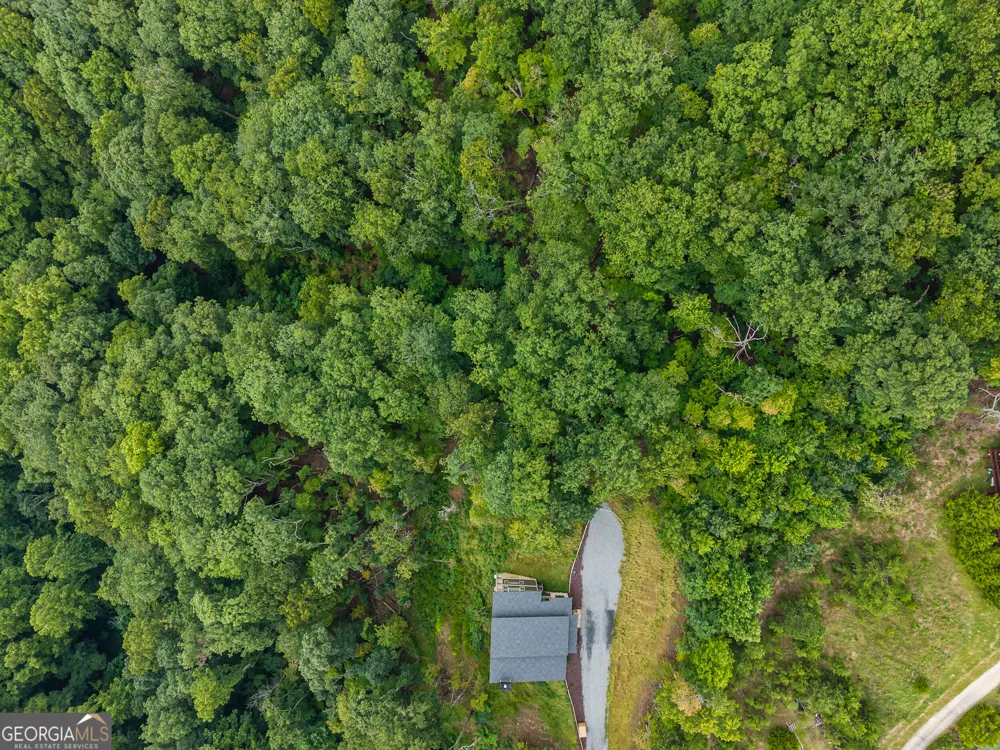 32 Raven Ridge Mineral Bluff, GA 30559