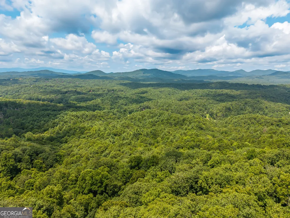 32 Raven Ridge Mineral Bluff, GA 30559