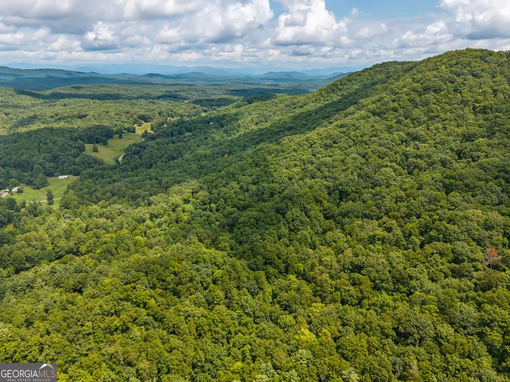 32 Raven Ridge Mineral Bluff, GA 30559