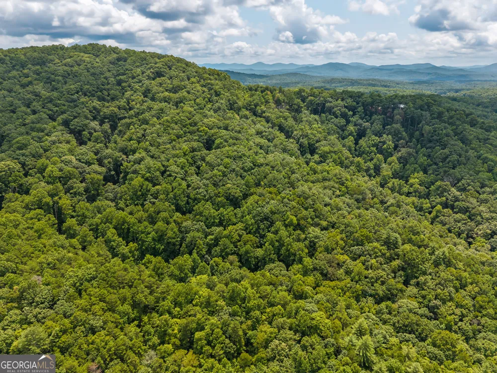 32 Raven Ridge Mineral Bluff, GA 30559