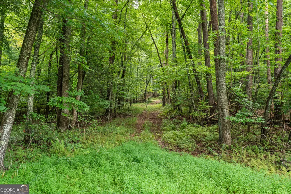 32 Raven Ridge Mineral Bluff, GA 30559