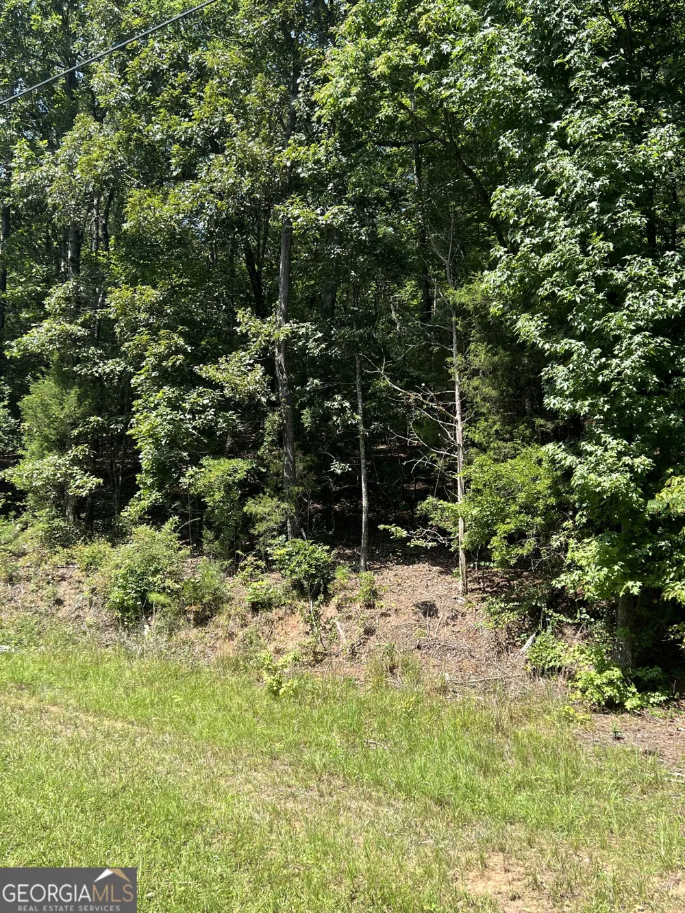 0 Davidson RD West Point, GA 31833