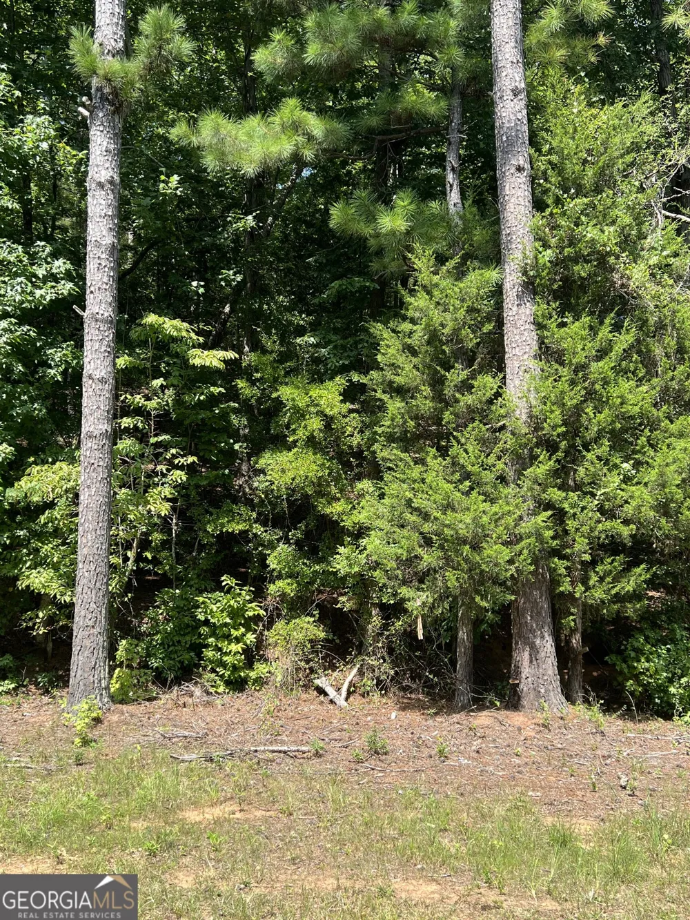 0 Davidson RD West Point, GA 31833