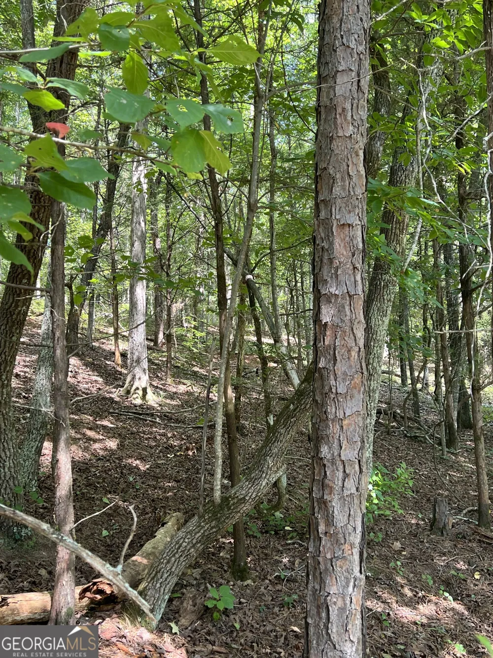 0 Davidson RD West Point, GA 31833