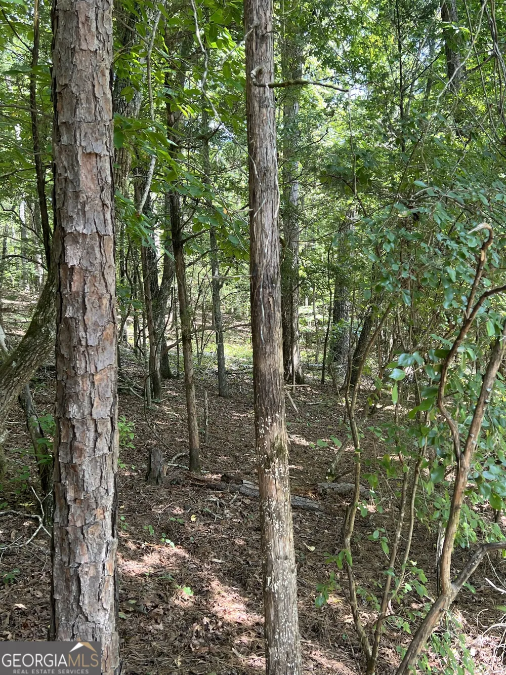 0 Davidson RD West Point, GA 31833