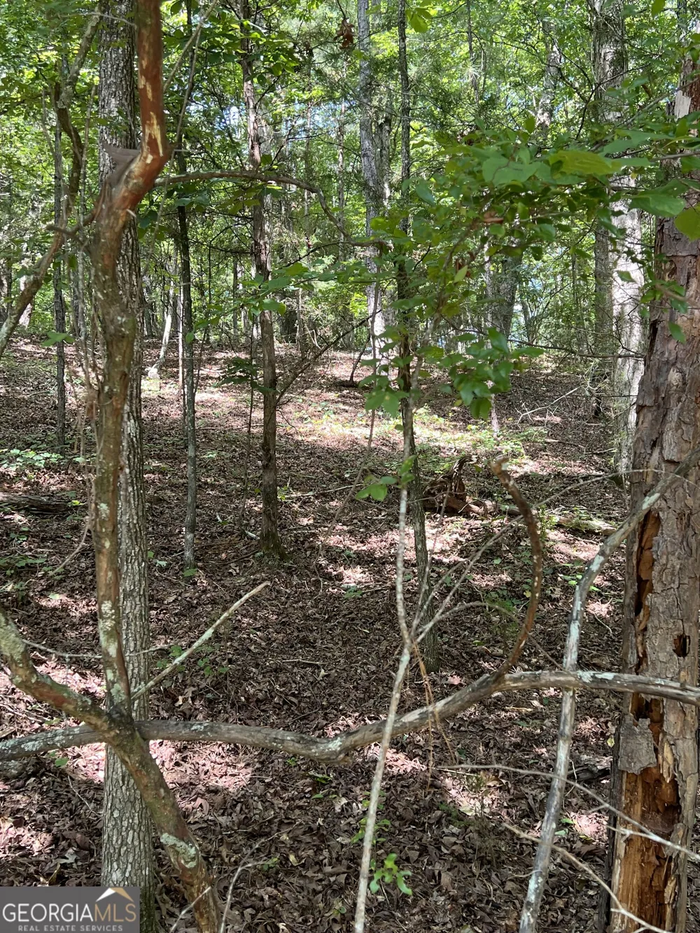 0 Davidson RD West Point, GA 31833