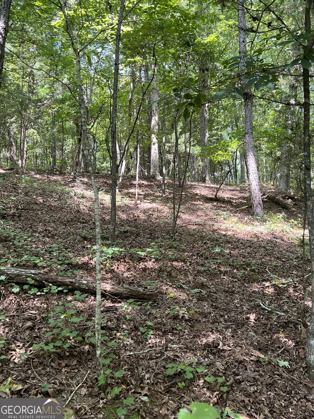 0 Davidson RD West Point, GA 31833