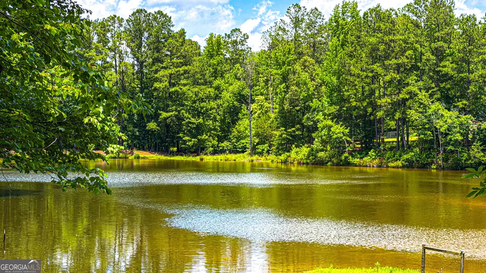 11 Edgewater CT Griffin, GA 30223