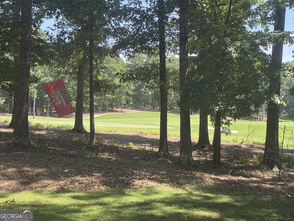 1020 Hixons Bluff DR Greensboro, GA 30642