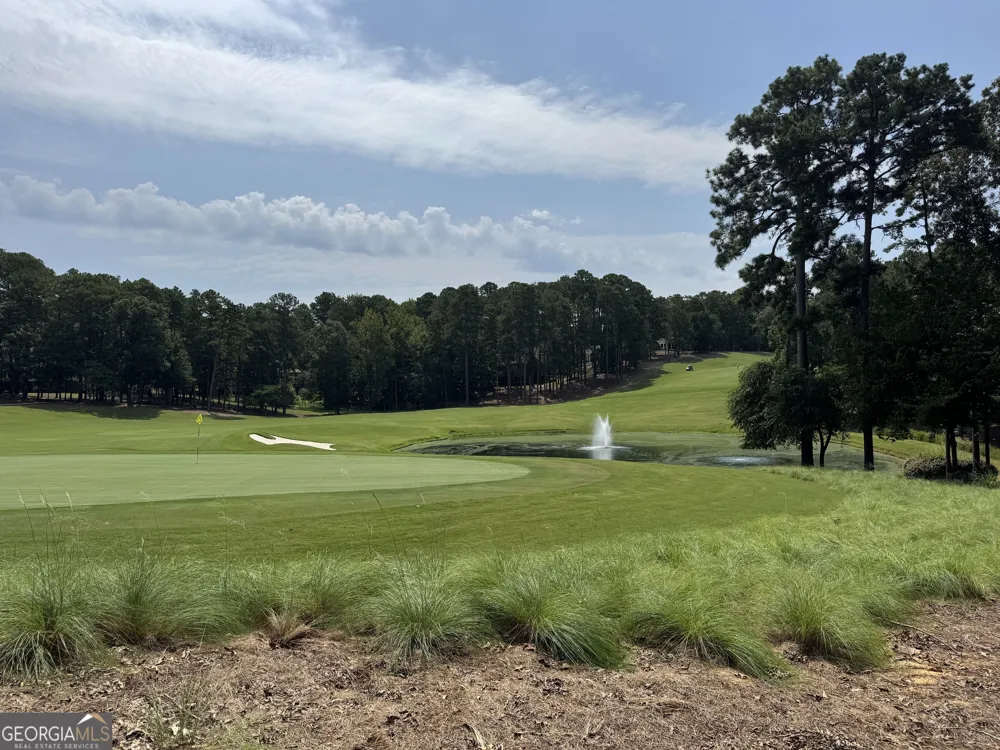 1020 Hixons Bluff DR Greensboro, GA 30642