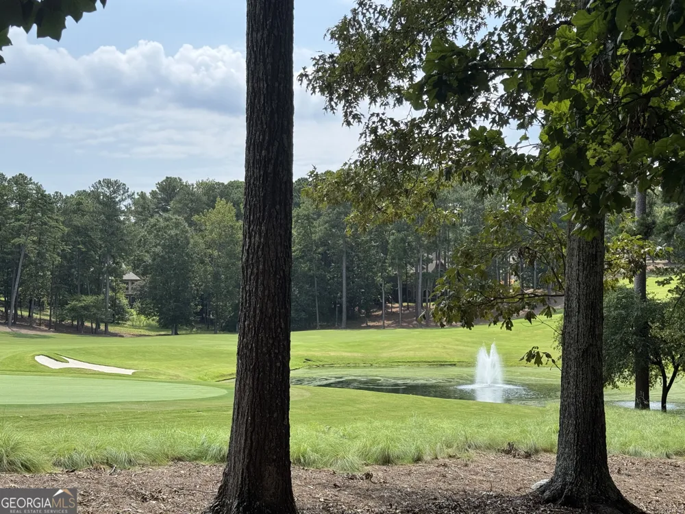 1020 Hixons Bluff DR Greensboro, GA 30642
