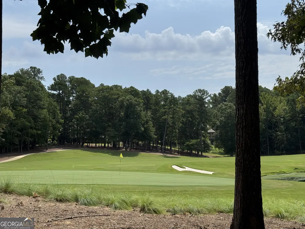 1020 Hixons Bluff DR Greensboro, GA 30642