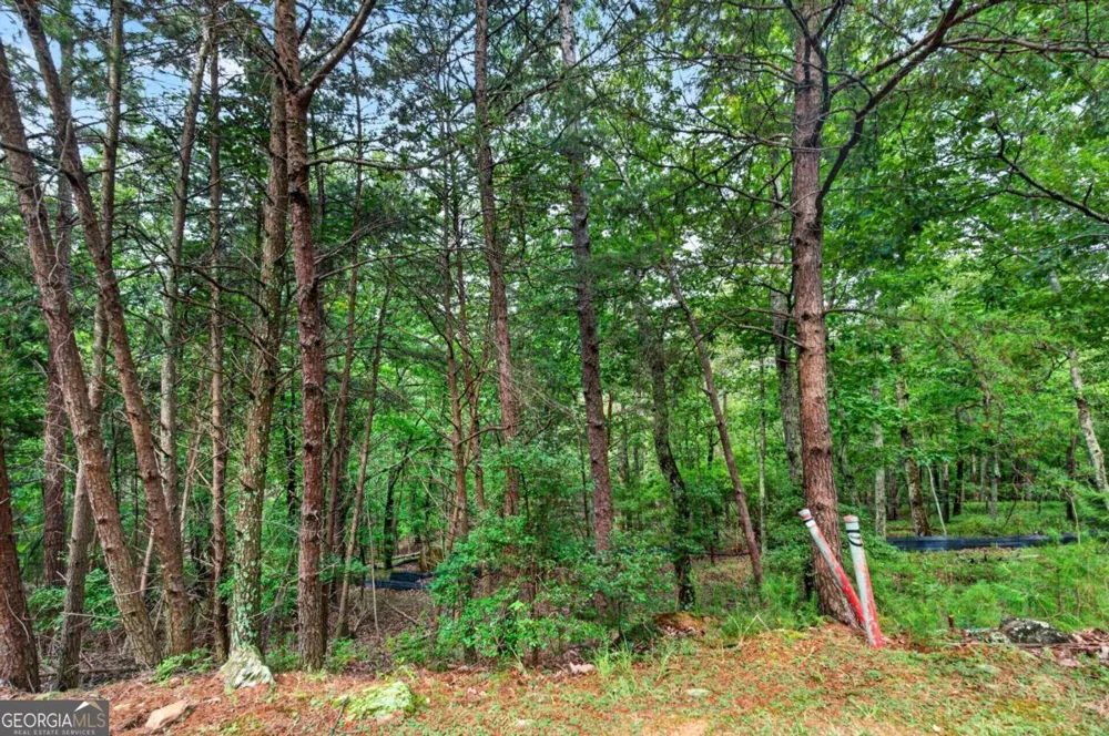 16 Ridgewater DR SE Cartersville, GA 30121