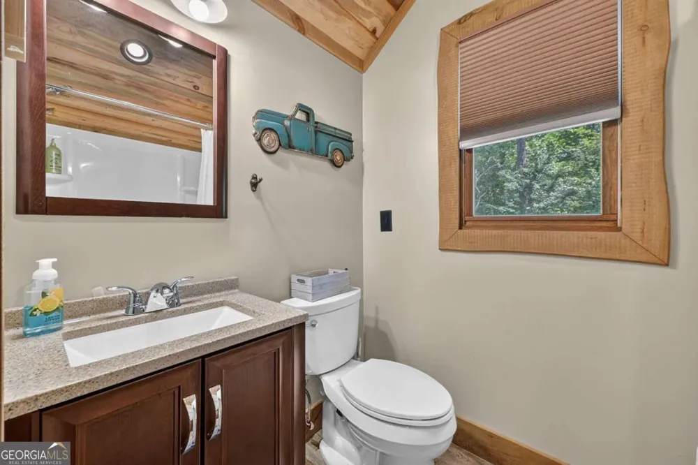 274 Hothouse DR Mineral Bluff, GA 30559