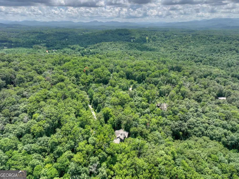 274 Hothouse DR Mineral Bluff, GA 30559
