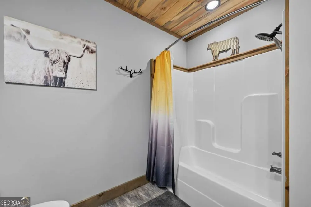 274 Hothouse DR Mineral Bluff, GA 30559