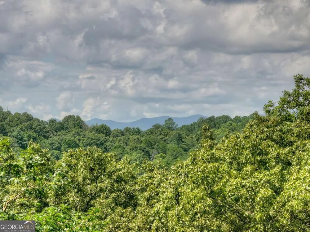 274 Hothouse DR Mineral Bluff, GA 30559