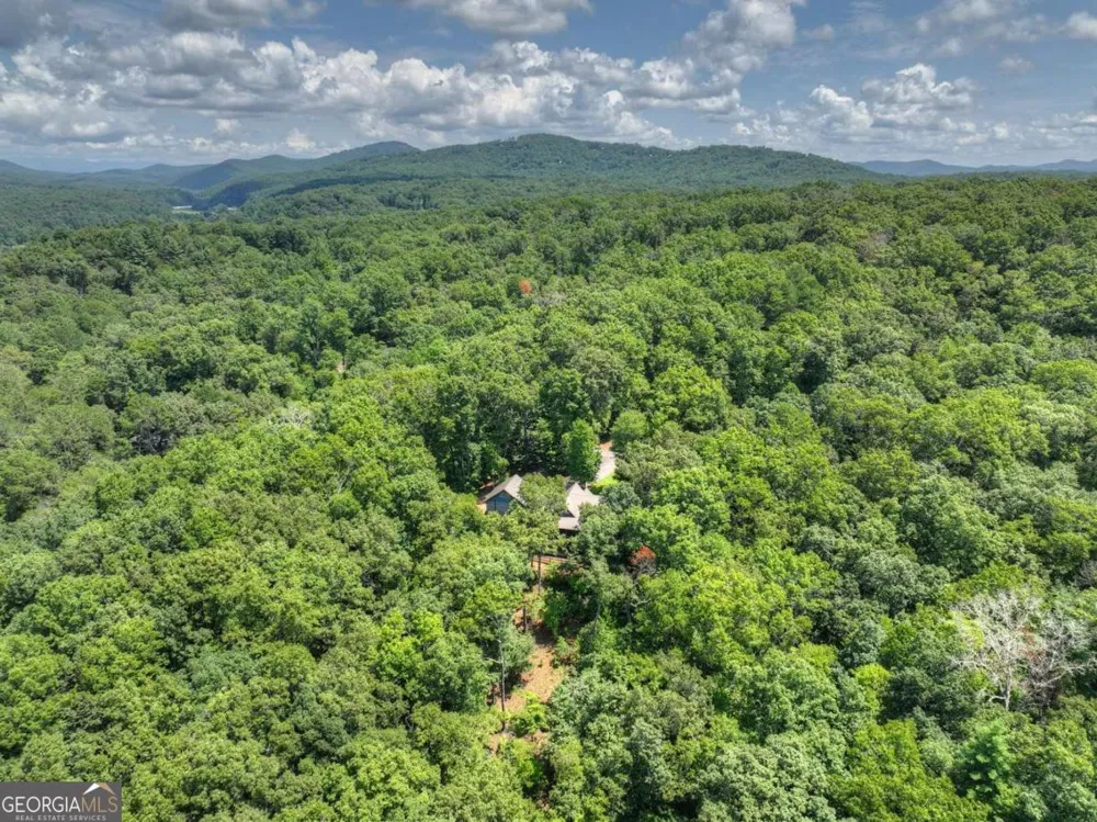 274 Hothouse DR Mineral Bluff, GA 30559