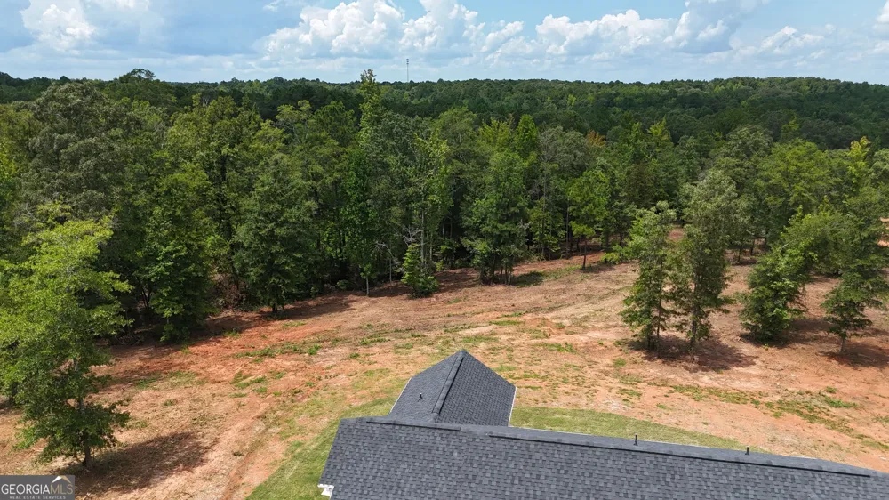 331 Andrews Mill RD Greenville, GA 30222