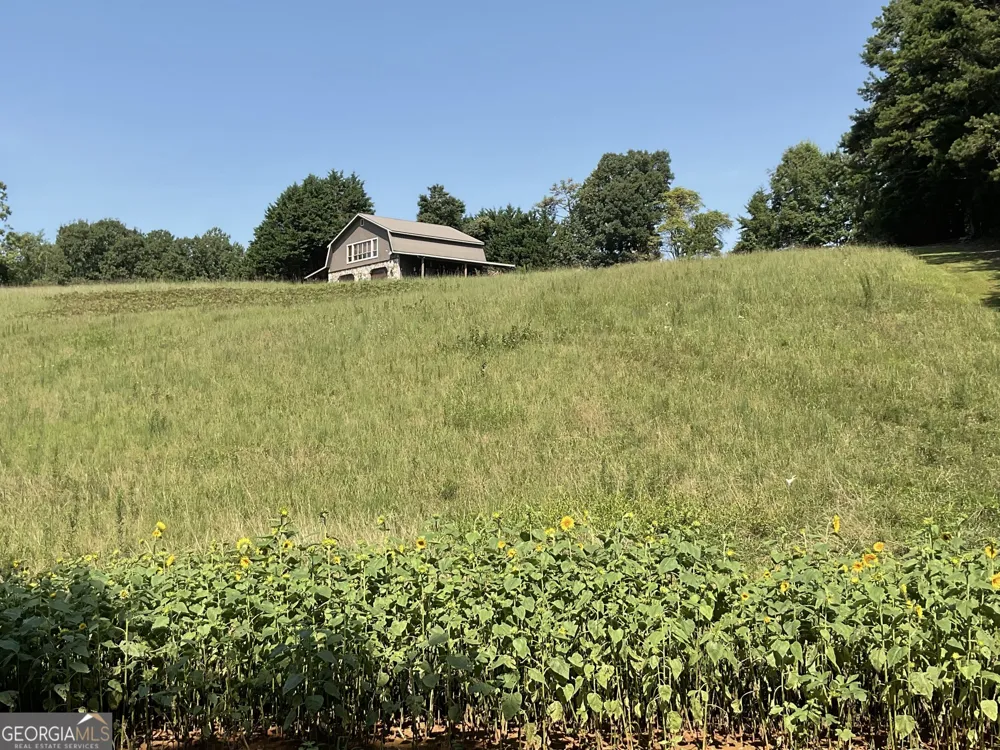 305 Laurel Springs/Opossum Long Creek, SC 29664