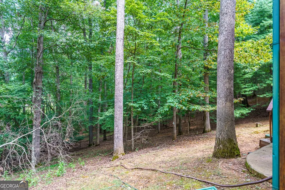 114 Rockingham WAY Ellijay, GA 30540