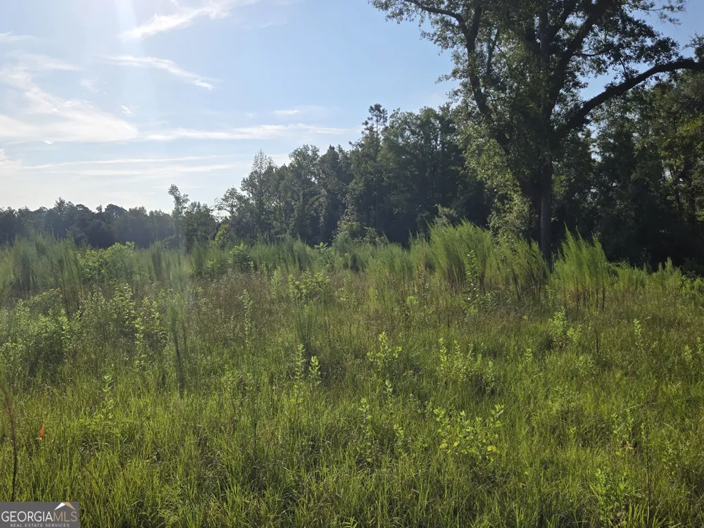 535 Evans ST Soperton, GA 30457