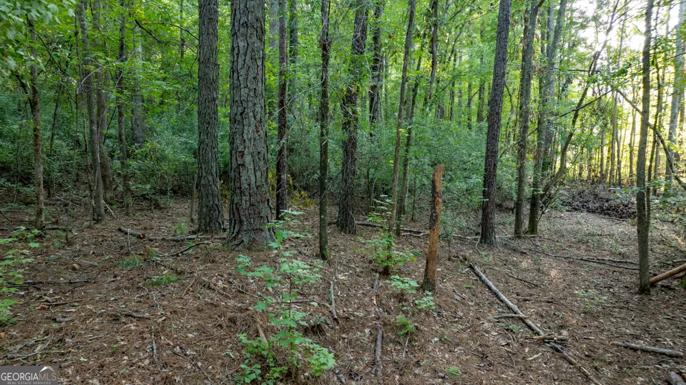 0 Allgood RD Newnan, GA 30263