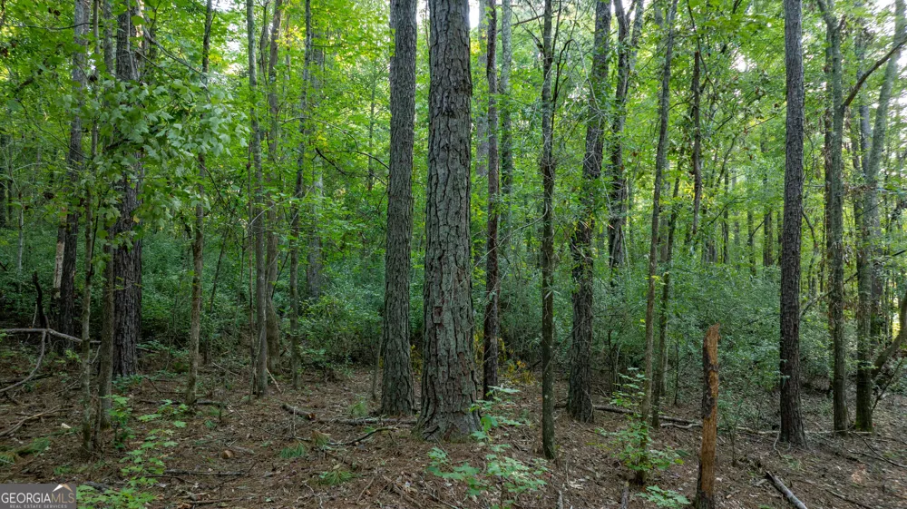 0 Allgood RD Newnan, GA 30263