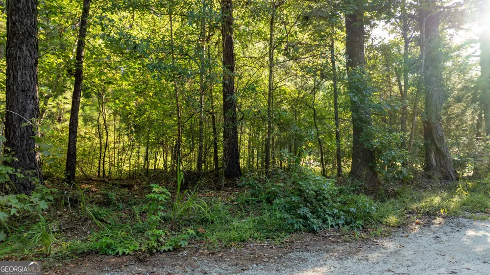 0 Allgood RD Newnan, GA 30263