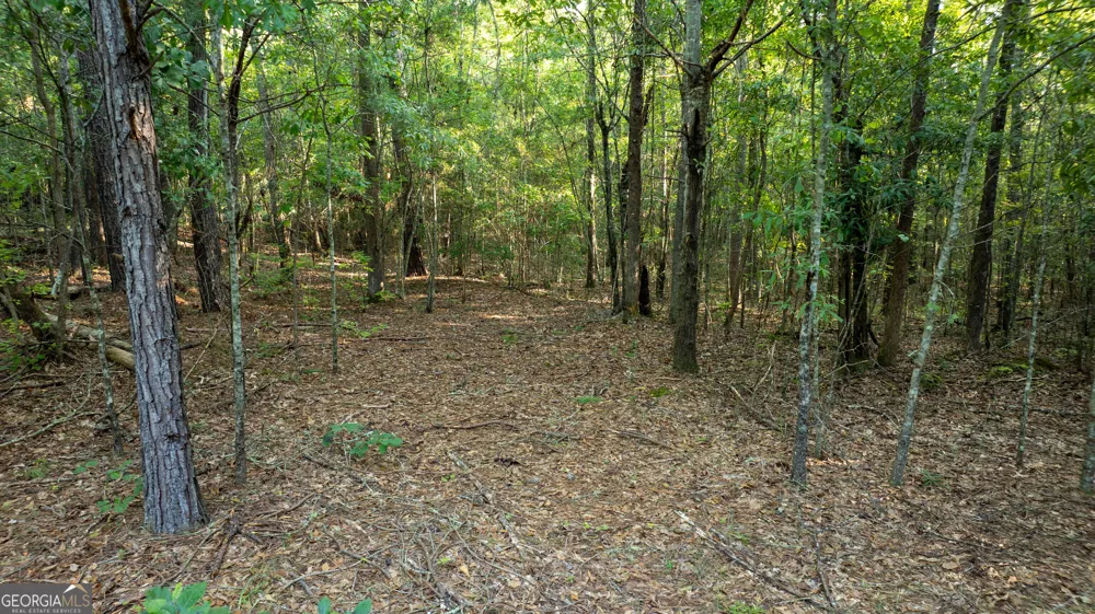 0 Allgood RD Newnan, GA 30263