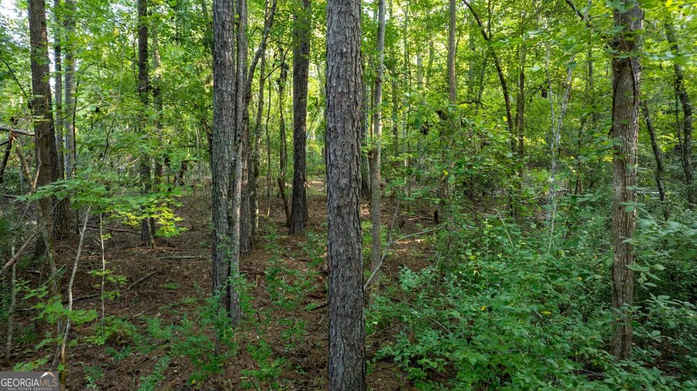 0 Allgood RD Newnan, GA 30263
