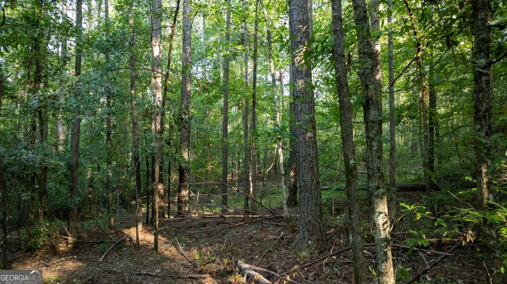 0 Allgood RD Newnan, GA 30263