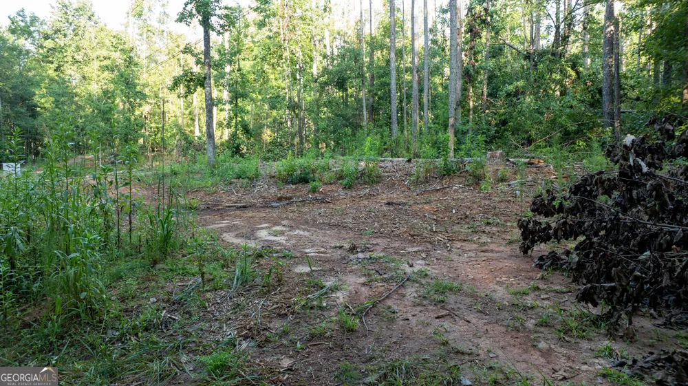 0 Allgood RD Newnan, GA 30263