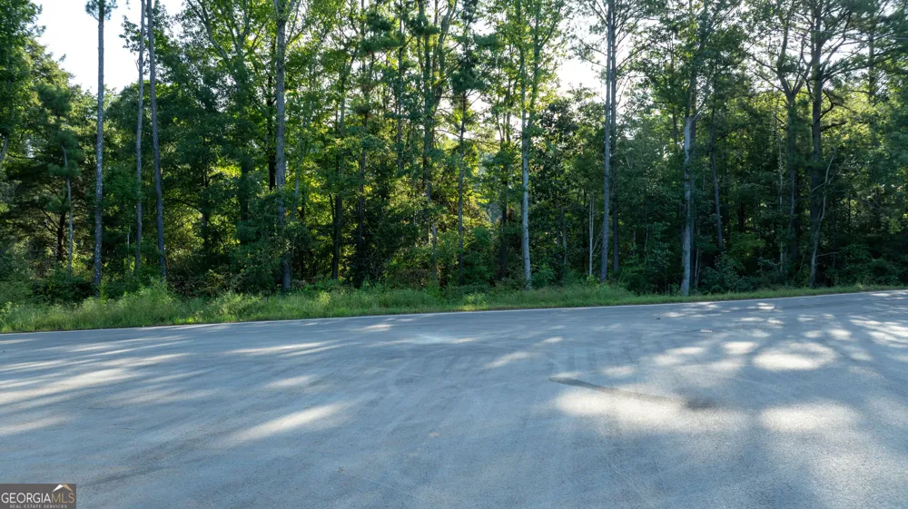 62 & 80 Turin RD Senoia, GA 30276