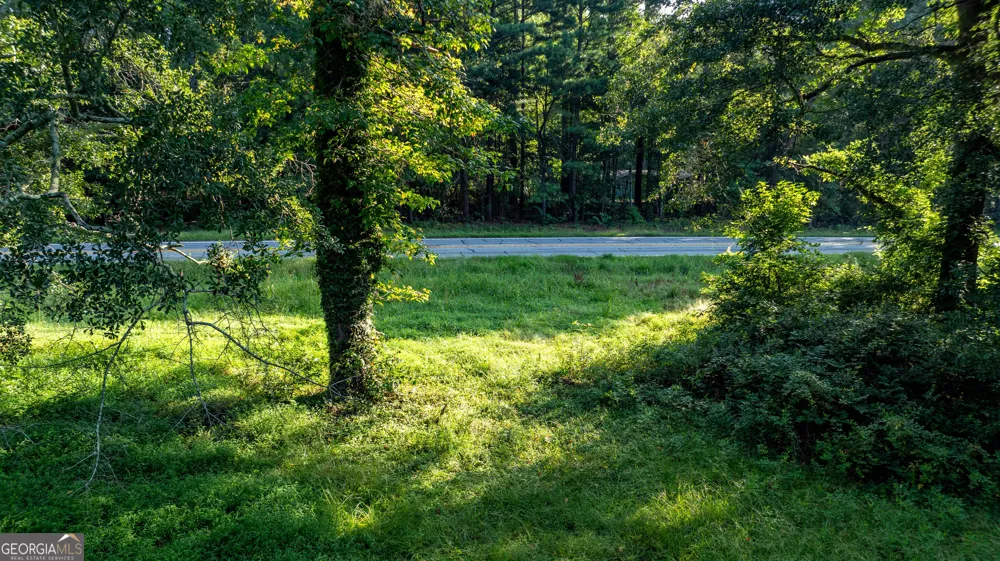 62 & 80 Turin RD Senoia, GA 30276