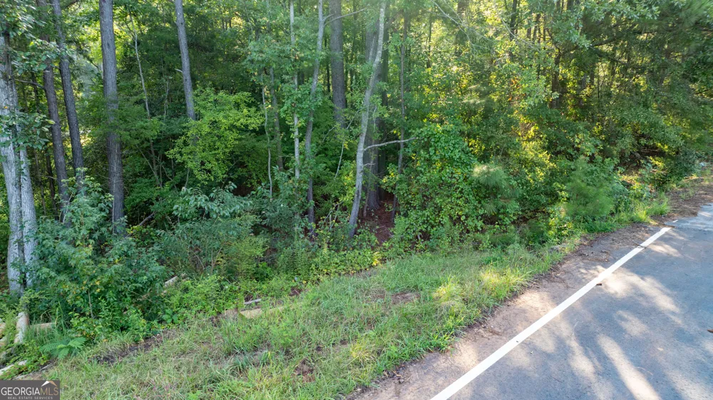 62 & 80 Turin RD Senoia, GA 30276