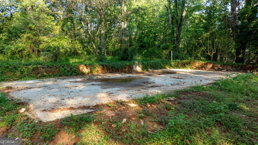 62 & 80 Turin RD Senoia, GA 30276