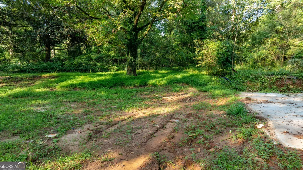 62 & 80 Turin RD Senoia, GA 30276