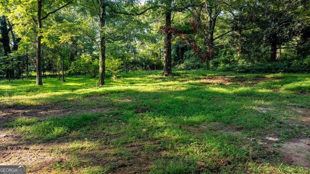 62 & 80 Turin RD Senoia, GA 30276