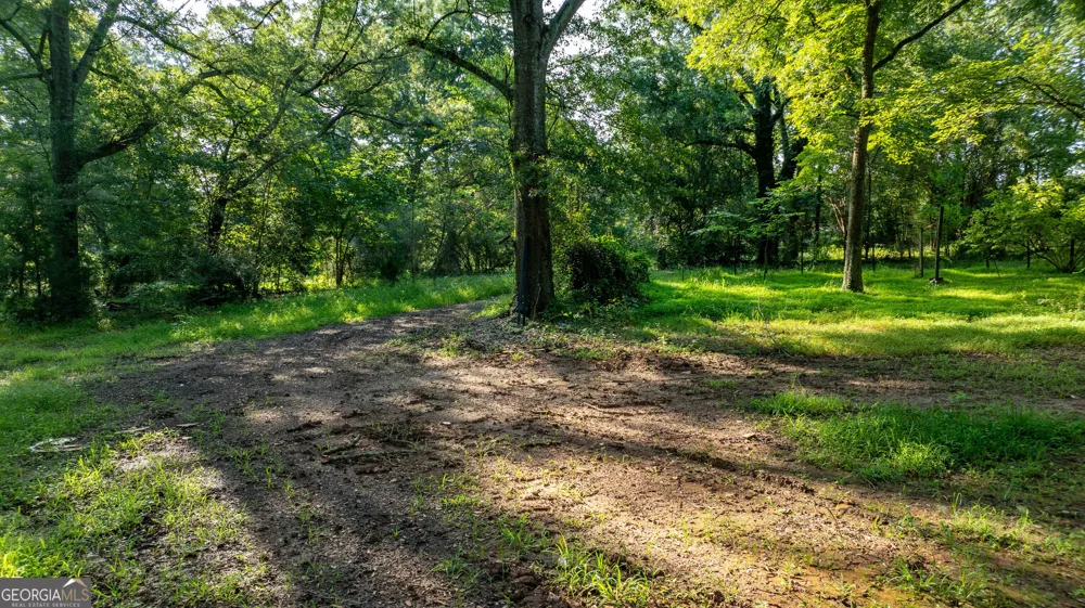 62 & 80 Turin RD Senoia, GA 30276