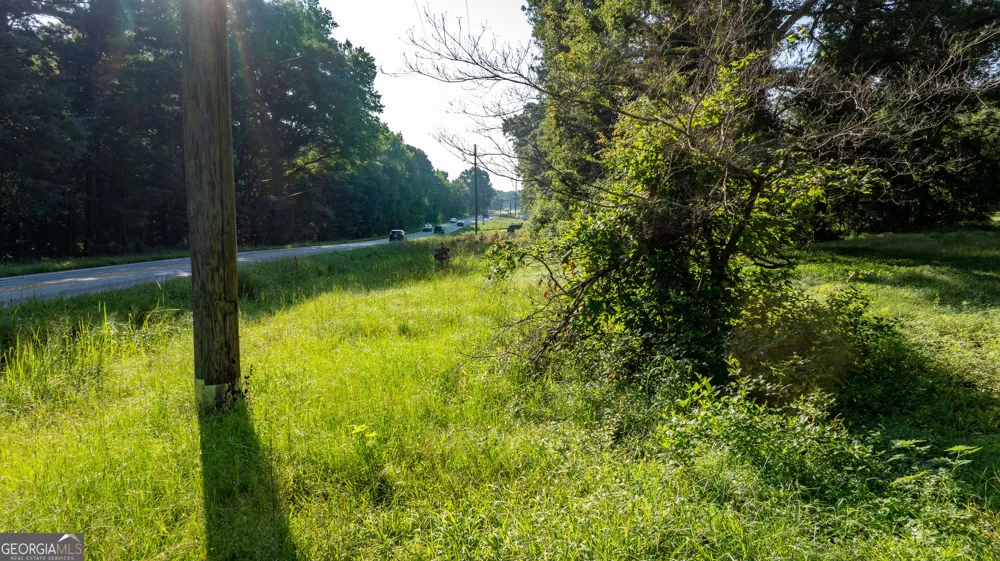 62 & 80 Turin RD Senoia, GA 30276