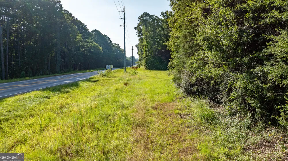 62 & 80 Turin RD Senoia, GA 30276