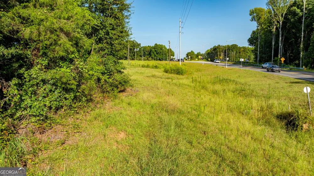62 & 80 Turin RD Senoia, GA 30276