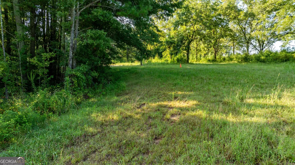62 & 80 Turin RD Senoia, GA 30276