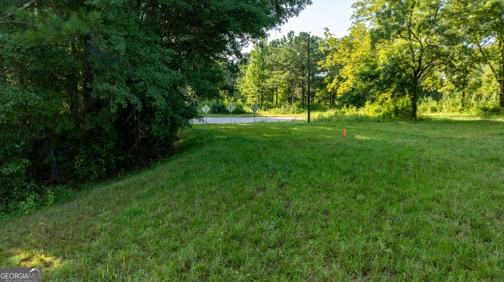 62 & 80 Turin RD Senoia, GA 30276