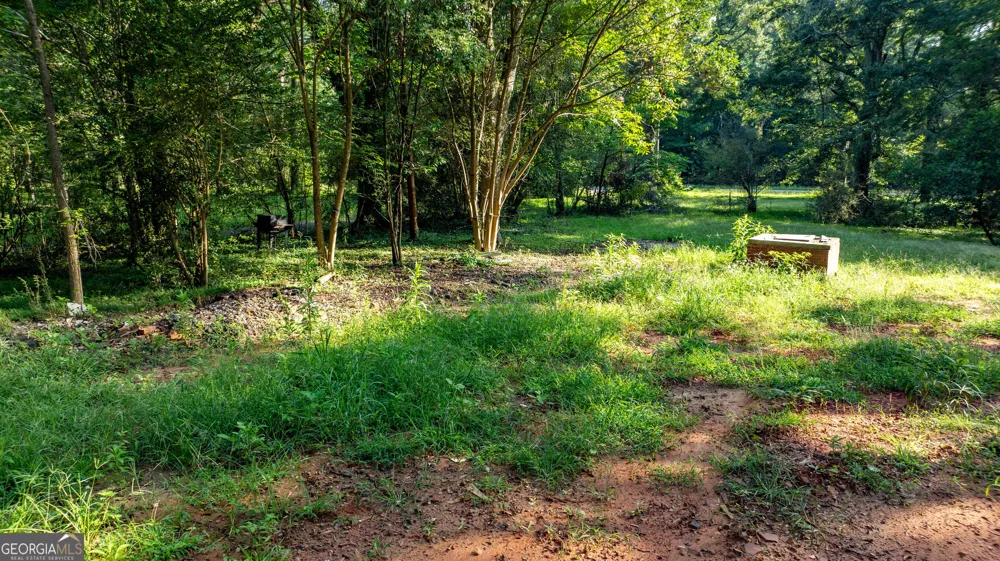 62 & 80 Turin RD Senoia, GA 30276